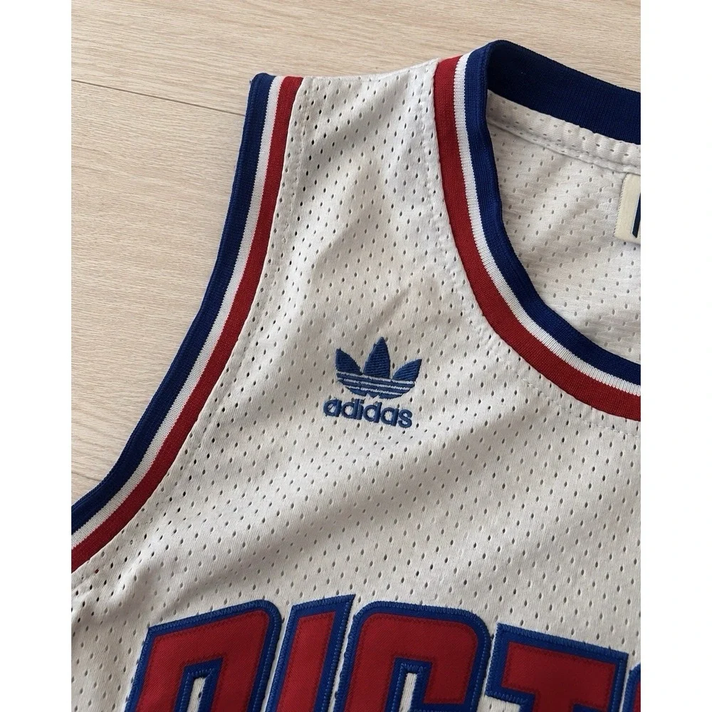 Dennis Rodman #10 Detroit Pistons Adidas Hardwood Classics Jersey Men's L
